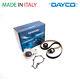 Fits Ford Transit Connect Timing Belt & Water Pump Kit 1.6 Tdci Dayco Ktbwp9590