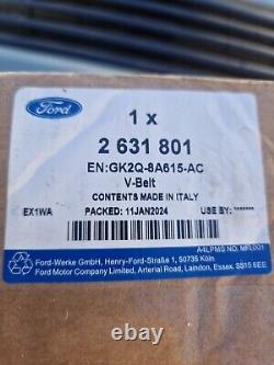 Ford Transit Eco Blue Timing Belt Kit 2631801 gk2q-8a615-ac