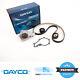 Timing Belt Kit Water Pump Ford Transit Connect Courier 1.5 Tdci Dayco Ktbwp9170